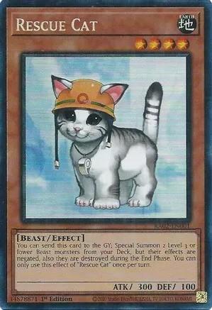 RA02-EN001 - Rescue Cat