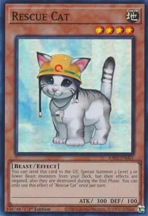RA02-EN001 - Rescue Cat