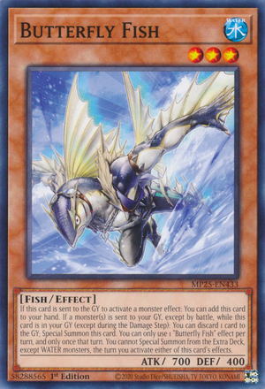 MP25-EN433 - Butterfly Fish