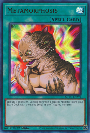 MP25-EN299 - Metamorphosis