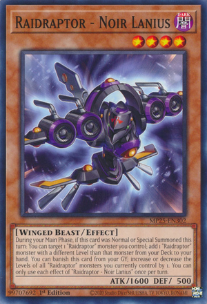 MP25-EN302 - Raidraptor - Noir Lanius