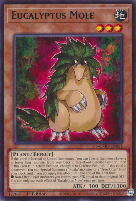 MZMU-EN021 - Eucalyptus Mole