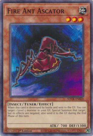 SDCK-EN020 - Fire Ant Ascator