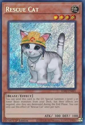 RA02-EN001 - Rescue Cat