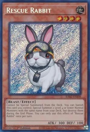 RA02-EN008 - Rescue Rabbit