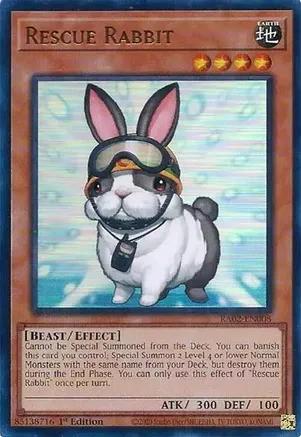 RA02-EN008 - Rescue Rabbit