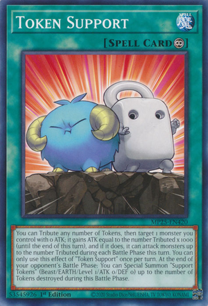 MP25-EN420 - Token Support