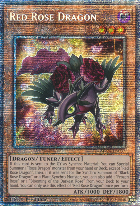 MP25-EN037 - Red Rose Dragon