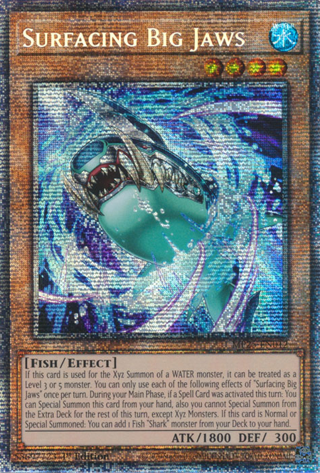 MP25-EN012 - Surfacing Big Jaws